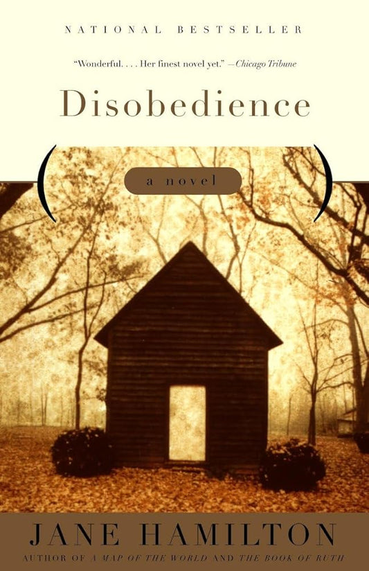 Disobedience: A Novel cover image