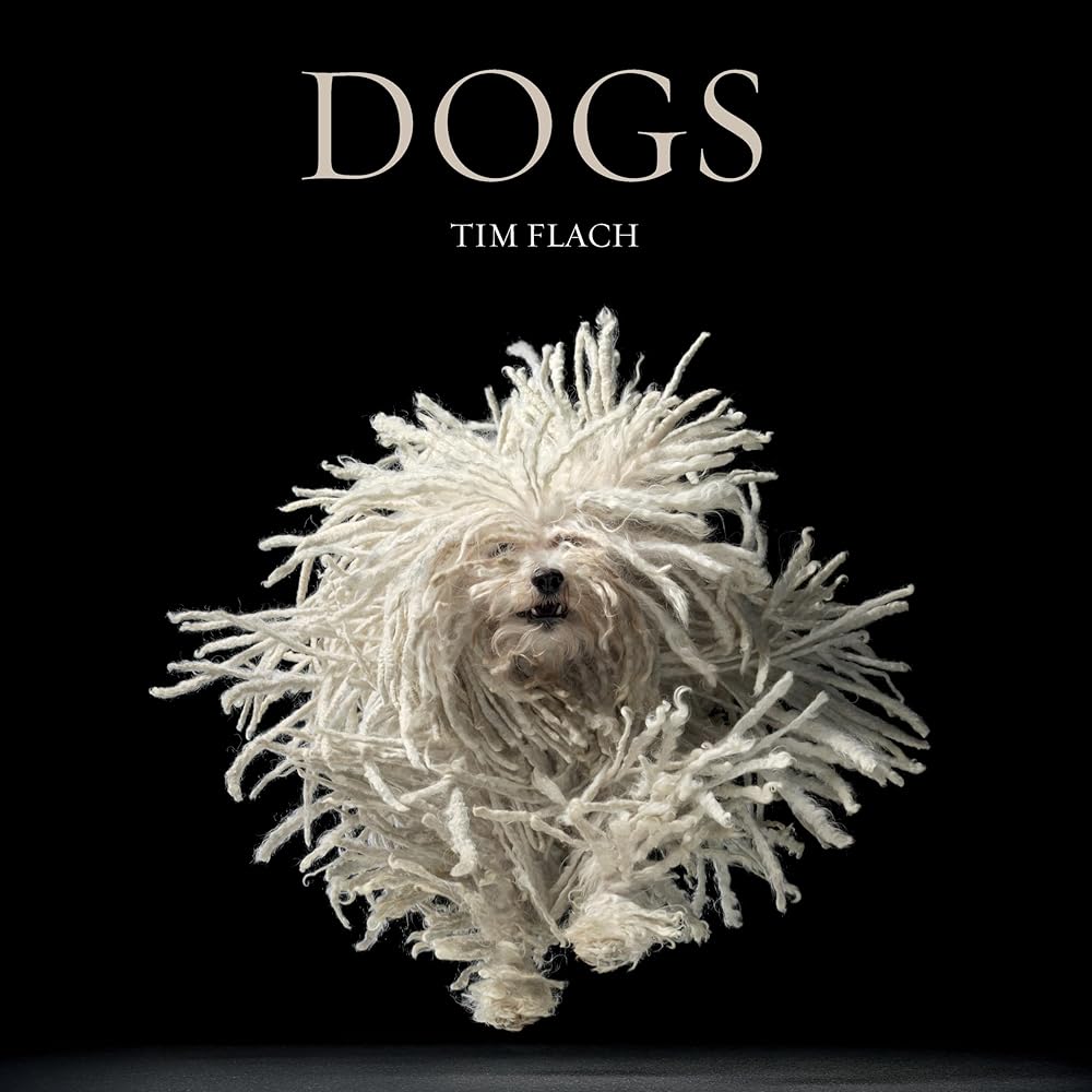 Dogs cover image