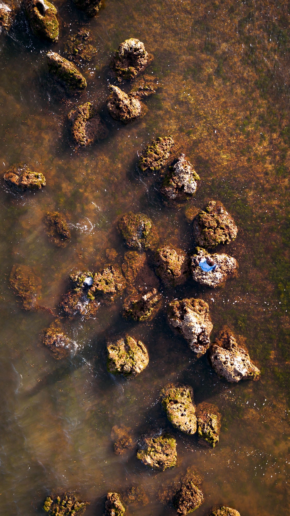 #36 - Rock Pools