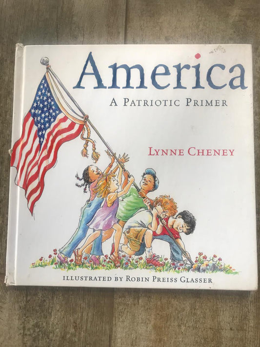 America a Patriotic Primer