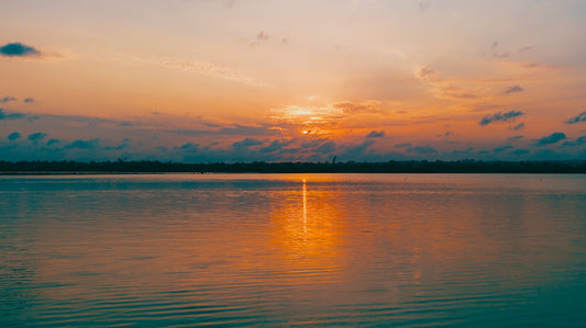 #43 - Malindi Sunset