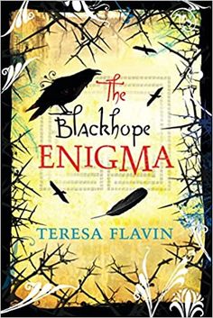 The Blackhope Enigma - Teresa Flavin