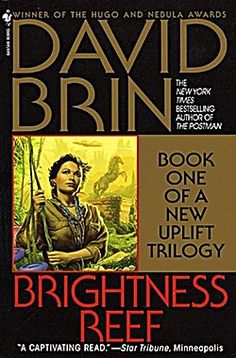 Brightness Reef - David Brin